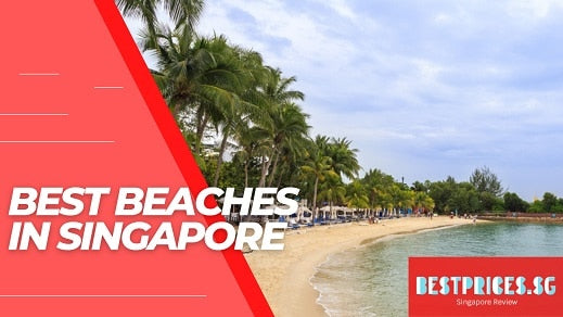 Top Beaches in Singapore 2025 for Locals and Tourists - All You Need to Know