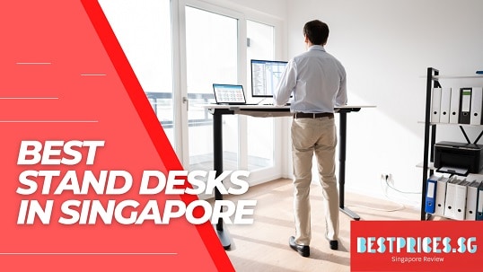 Best Stand Desks in Singapore 2025 to Maintain a Healthy Posture and Fit