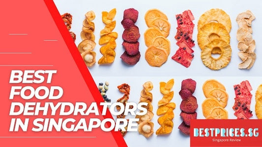 Best Food Dehydrators in Singapore for Home Use 2025 Buying Guide