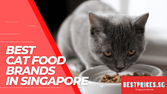 Best Cat Food Brands Singapore 2025 for Healthy Happy Cats