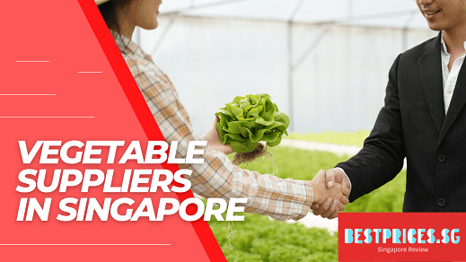 Cheap Vegetable Supplier Singapore 2025 for Fresh Vegetable & Fruit Wholesale