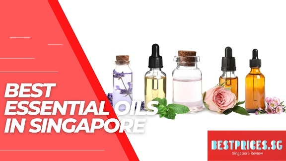 Best Essential Oils in Singapore 2025 to Reduce Stress and Help You Sl ...