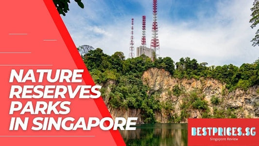 List of Nature Reserves Parks in Singapore 2025 to Visit with Family