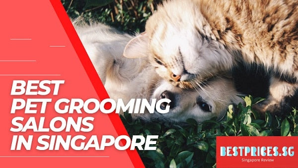 Pet Grooming Salons in Singapore