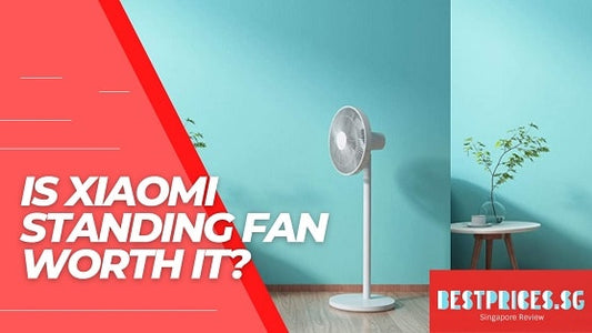 Is Xiaomi Standing Fan Worth It 2025?