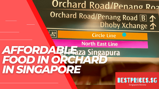 Affordable Food Orchard Singapore 2025