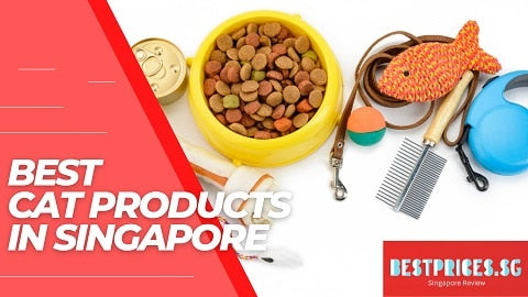 Pet Products to buy for Your Cat in Singapore