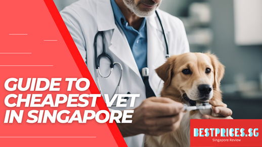 Cheapest Vet Singapore