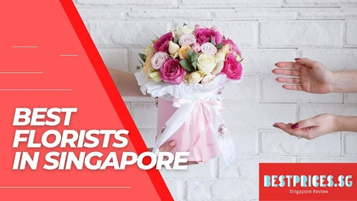 Top Cheap Florists in Singapore with Cheap Flowers Delivery 2025
