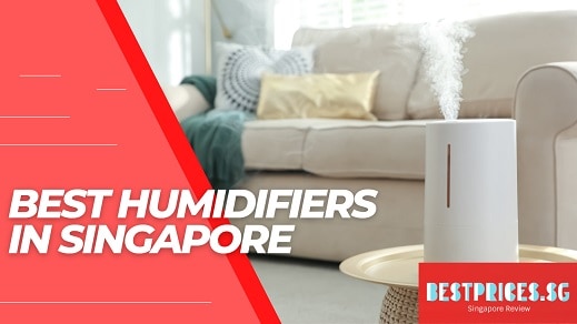 Best Humidifier in Singapore 2025 to Enhance Humidity and Moisture Levels