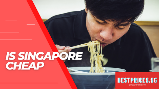 Is Singapore Cheap to Live for Foreigners 2025