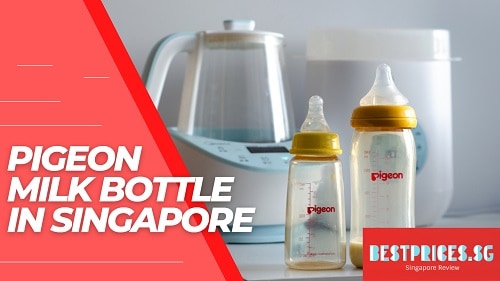 Pigeon Milk Bottle Review Singapore