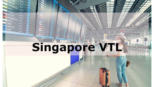 Which Airline Flights are Singapore VTL 2025