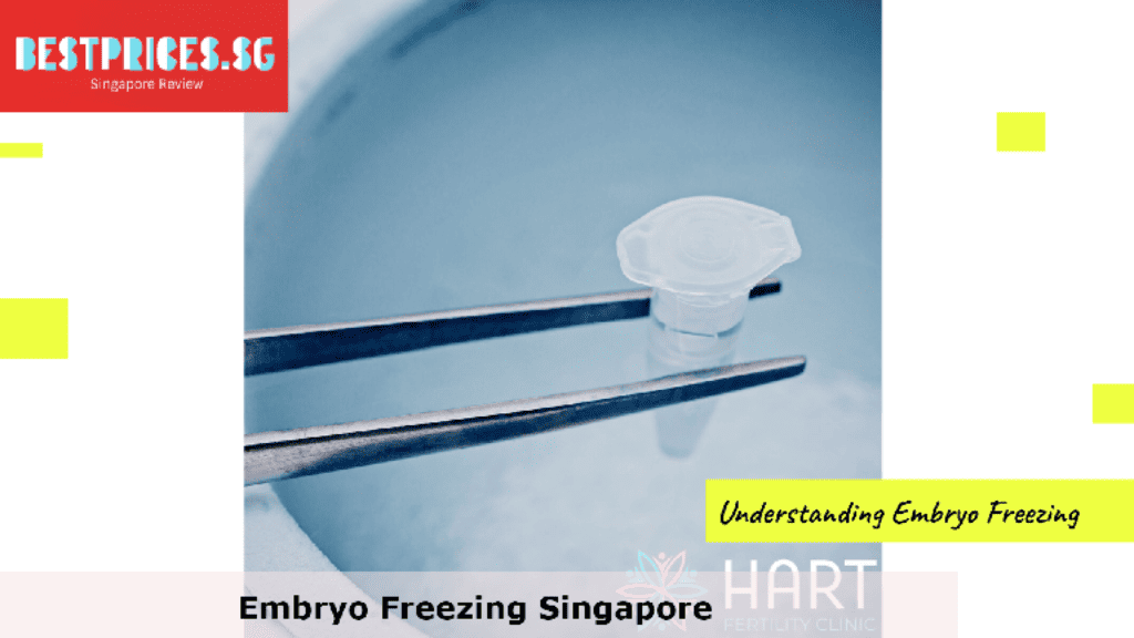 Embryo Freezing Singapore, Egg Freezing Cost in Singapore, How much does freezing embryos cost?, Does Singapore allow egg freezing?, What is the best age to freeze embryos?, How much does it cost to freeze embryo in IVF?, Fertility Preservation Singapore, Egg Freezing & Sperm Freezing, singapore egg freezing, why is egg freezing illegal in singapore, elective egg freezing singapore moh, social egg freezing, elective egg freezing, egg freezing overseas, egg freezing cost, egg freezing procedure,
