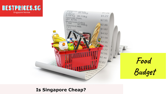 Food Budget in Singapore, Is Singapore Cheap, Is stuff cheaper in Singapore?, Is Singapore expensive as a tourist?, Is Singapore a cheap country to visit?, Are Things in Singapore cheap?, How much is a meal in Singapore?, Is Singapore expensive to visit?, What things are expensive in Singapore?, Singapore Travel Cost, What brands are cheaper in Singapore?, Is Singapore Expensive?,singapore travel cost per day,how much money should i take to singapore for a week,singapore price list,singapore trip cost for couple,is singapore safe to visit,how much would it cost for a 5 day trip to singapore,is it expensive to eat in singapore,singapore budget travel, Cost of Living in Singapore, How much do you spend on food in Singapore?
How much should I budget for food per month?, Are groceries expensive in Singapore?, How much should a 2 person budget for groceries?,