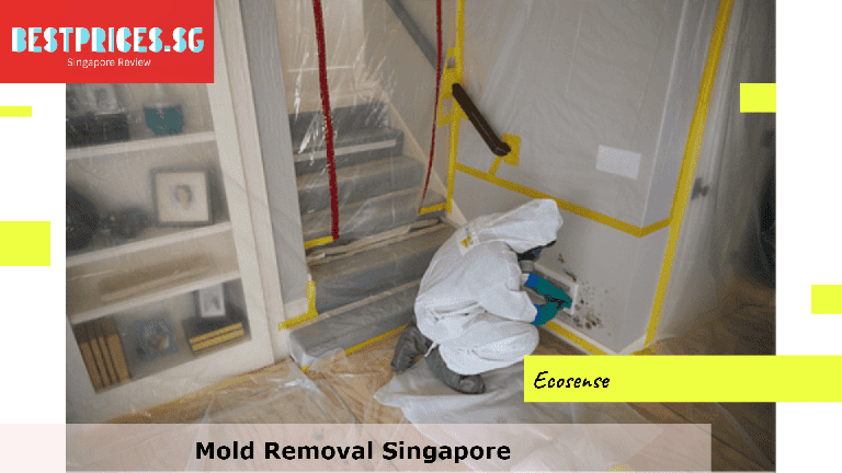 Mold Removal Singapore, Mould Specialist Singapore, Best Home Mold Removal Services Singapore, How do I get rid of mold in my house Singapore?, Can I remove mold myself?, Is it expensive to get rid of mold?, How do you get rid of mold in Singapore HDB?, Mold Removal Services Singapore, mould removal singapore price, Mold removal singapore price, Free mold removal singapore, Mold removal singapore cost, mould removal products, mould removal service, Mold removal singapore reddit, Mold removal singapore review, Can you remove mold by yourself?, 