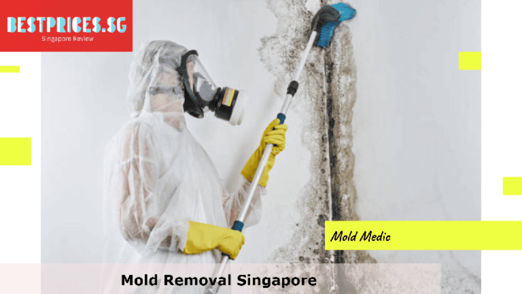 Mold Removal Singapore, Mould Specialist Singapore, Best Home Mold Removal Services Singapore, How do I get rid of mold in my house Singapore?, Can I remove mold myself?, Is it expensive to get rid of mold?, How do you get rid of mold in Singapore HDB?, Mold Removal Services Singapore, mould removal singapore price, Mold removal singapore price, Free mold removal singapore, Mold removal singapore cost, mould removal products, mould removal service, Mold removal singapore reddit, Mold removal singapore review, Can you remove mold by yourself?,