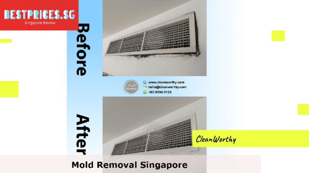 Mold Removal Singapore, Mould Specialist Singapore, Best Home Mold Removal Services Singapore, How do I get rid of mold in my house Singapore?, Can I remove mold myself?, Is it expensive to get rid of mold?, How do you get rid of mold in Singapore HDB?, Mold Removal Services Singapore, mould removal singapore price, Mold removal singapore price, Free mold removal singapore, Mold removal singapore cost, mould removal products, mould removal service, Mold removal singapore reddit, Mold removal singapore review, Can you remove mold by yourself?,