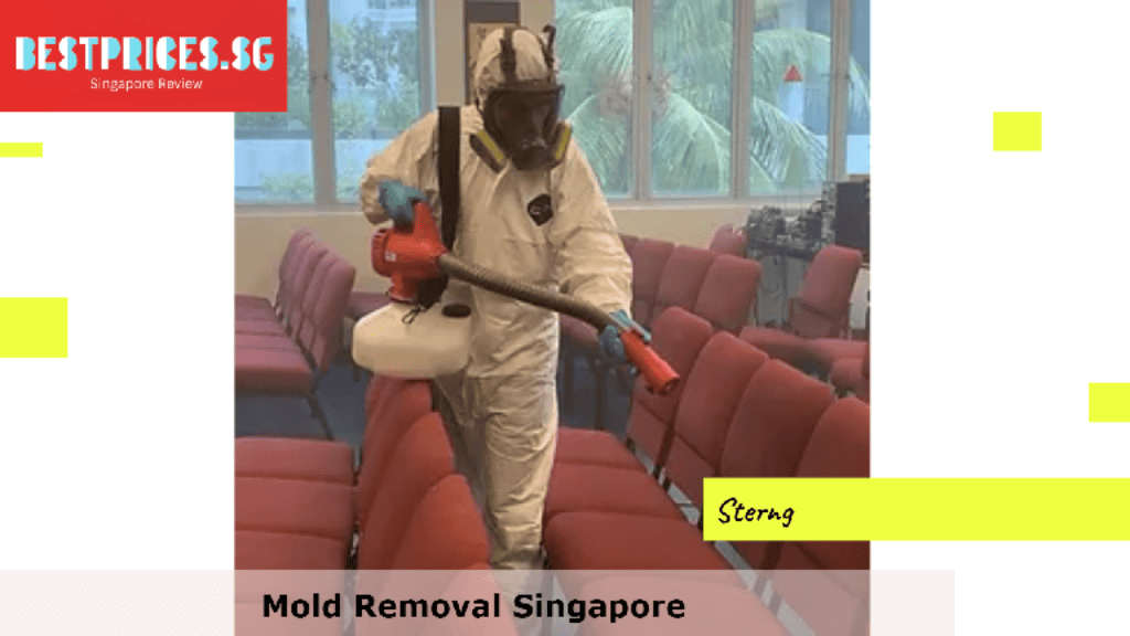 Mold Removal Singapore, Mould Specialist Singapore, Best Home Mold Removal Services Singapore, How do I get rid of mold in my house Singapore?, Can I remove mold myself?, Is it expensive to get rid of mold?, How do you get rid of mold in Singapore HDB?, Mold Removal Services Singapore, mould removal singapore price, Mold removal singapore price, Free mold removal singapore, Mold removal singapore cost, mould removal products, mould removal service, Mold removal singapore reddit, Mold removal singapore review, Can you remove mold by yourself?,