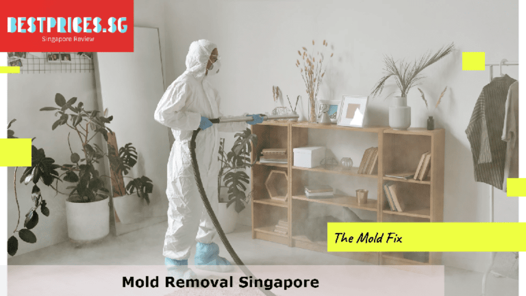 Mold Removal Singapore, Mould Specialist Singapore, Best Home Mold Removal Services Singapore, How do I get rid of mold in my house Singapore?, Can I remove mold myself?, Is it expensive to get rid of mold?, How do you get rid of mold in Singapore HDB?, Mold Removal Services Singapore, mould removal singapore price, Mold removal singapore price, Free mold removal singapore, Mold removal singapore cost, mould removal products, mould removal service, Mold removal singapore reddit, Mold removal singapore review, Can you remove mold by yourself?,